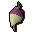 Shrunk ogleroot