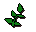 Equa leaves