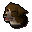Bernese mountain dog