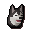 Husky puppy