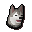 Husky puppy