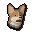 Corgi puppy