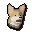 Corgi puppy