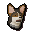 Corgi puppy