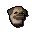 Pug puppy