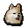 Samoyed puppy