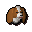 Spaniel puppy
