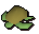 Raw sea turtle