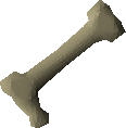 Long bone