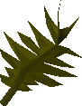 Swamp weed