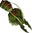 Kalphite princess
