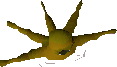 Pet kraken