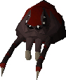 Venenatis spiderling