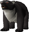 Callisto cub