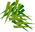 Snake weed