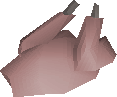 Raw chicken