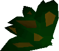 Grimy dwarf weed