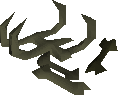 Hydra bones