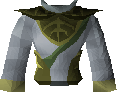 3rd age druidic robe top