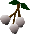 White berries