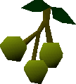 Jangerberries