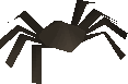 Spider hat