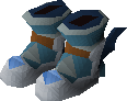 Echo boots