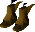 Graceful boots