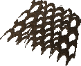 Small fishing net