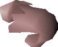 Raw rabbit