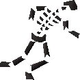 Fiyr remains