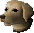 Labrador