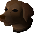 Labrador