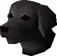 Labrador