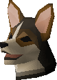 Corgi