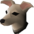 Greyhound