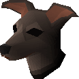 Greyhound