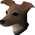 Greyhound