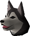 Husky