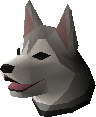 Husky