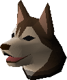 Husky