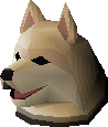 Samoyed