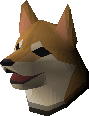 Shiba