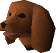 Spaniel