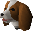 Spaniel