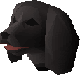 Spaniel