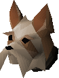 Yorkie