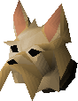 Yorkie