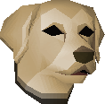 Labrador puppy