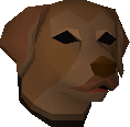 Labrador puppy